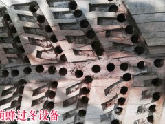 胡蜂有什么功效與作用圖3