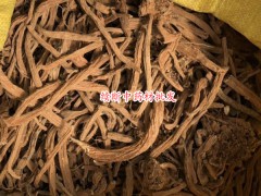 續(xù)斷種植方法有哪些?圖2