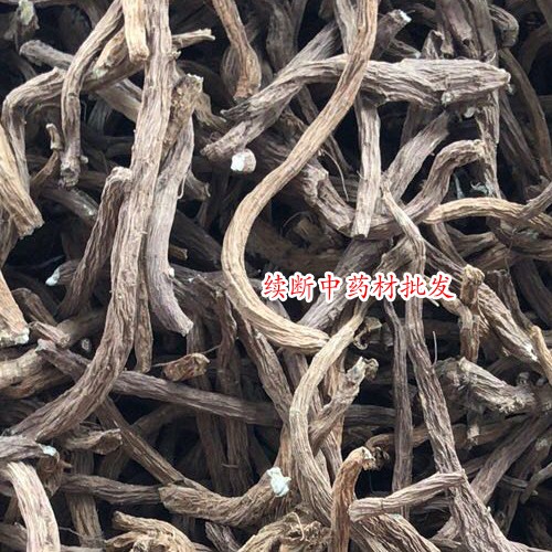 續(xù)斷如何栽培?續(xù)斷種植技術(shù),畝產(chǎn),圖片