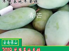 吃青芒果的好處？芒果怎么吃？圖3