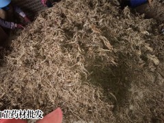 白芷圖片,白芷價(jià)格多少?多少錢(qián)一斤?圖3