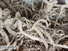 如今白芷價格多少錢一斤？圖3