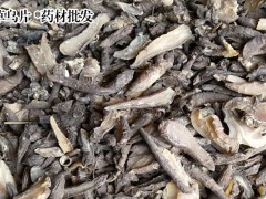 目前黃草烏價(jià)格多少錢圖2