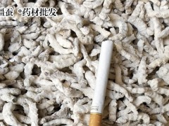 僵蠶價格行情_僵蠶多少錢圖3