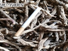 桔梗何時(shí)栽種較好是?多少錢(qián)一斤圖3