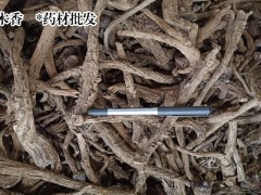 木香的價錢是多少錢一斤?圖2