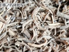 牛膝栽培技術(shù)_牛膝供應批發(fā)廠家信息圖2