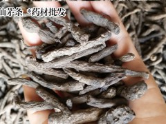 亳州藥市仙茅行情_保山藥材公司圖2