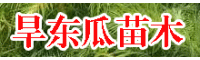 彌勒旱東瓜_原產(chǎn)地旱冬瓜種子_旱東瓜苗木價格_榿木旱冬瓜價格