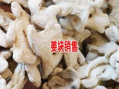 小黃姜干塊、干姜片銷售—云南羅平干姜生產(chǎn)商圖3