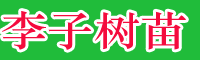 李子樹苗新批發(fā)價(jià)格表