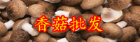 香菇栽培技術(shù)要點有哪些？成本和效益高嗎？