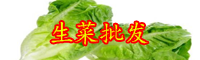 “皇帝菜”生菜的種植方法要點(diǎn)：采收也有小技巧！