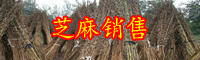 八谷之冠“芝麻開花節(jié)節(jié)高”是什么意思？