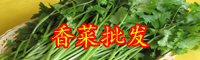 云南香菜多少錢(qián)一斤？它的功效與作用是什么？