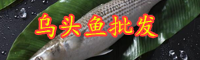 云南烏頭魚價(jià)格在多少錢一斤？垂釣時(shí)間在什么時(shí)候？