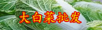 云南大白菜價(jià)格現(xiàn)低谷是什么情況？多少錢一斤？