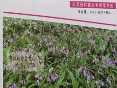 白芨(及)除草劑用什么藥_白芨(及)除草劑什么時(shí)候打好?圖3