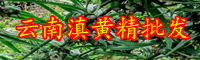 黃精價錢多少錢一斤？種植前景和經(jīng)濟效益如何？