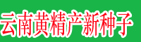 湖北\云南黃精產(chǎn)新種子&黃精統(tǒng)貨價(jià)格