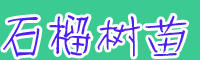 2020年軟子(無(wú)子)大概多少錢(qián)一棵？一般什么時(shí)候移栽好？