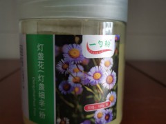 燈盞花粉圖片，燈盞花粉圖片大全圖2