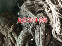 栽種當歸兩年能獲得？畝經(jīng)濟效益和栽培技術是如何？圖2