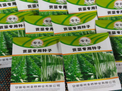 貢菜圖片_迪慶貢菜批發(fā)圖片圖2