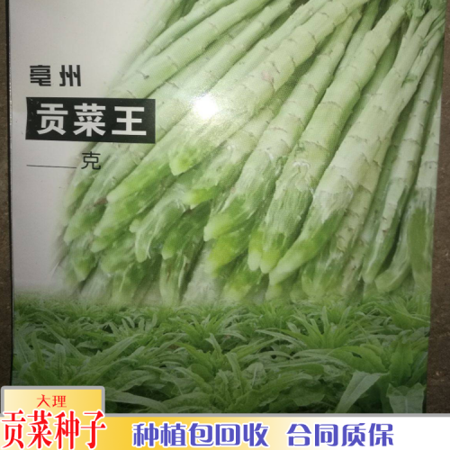 貢菜包回收_貢菜價(jià)格行情走勢(shì)