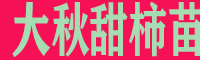 大秋甜柿圖片 1-2年大秋甜柿品種樹苗 保山大秋甜柿苗直銷點(diǎn)