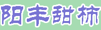 陽豐甜柿樹苗 云南陽豐甜柿品種苗圃基地信息