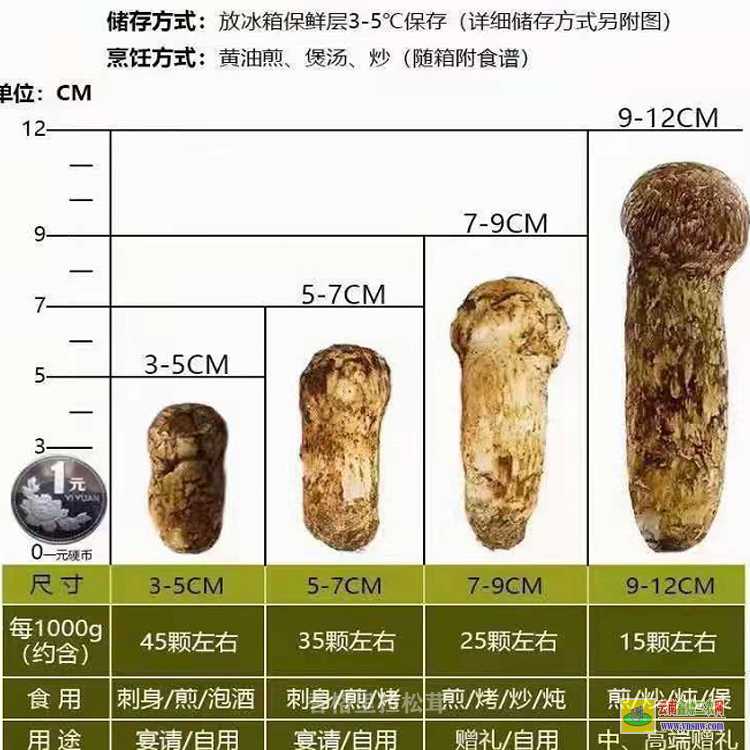 四川9至12公分云南松茸 今年香格里拉松茸 香格里拉新鮮松茸批發(fā)