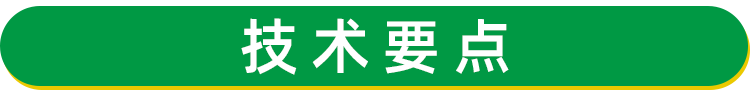 天冬苗 天門冬種苗批發(fā)供應(yīng) 天冬種苗價(jià)格 天冬種植 基地現(xiàn)挖現(xiàn)發(fā)