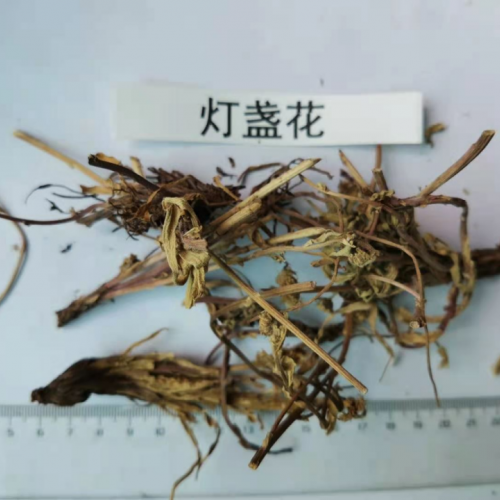 燈盞花治什么病比較好