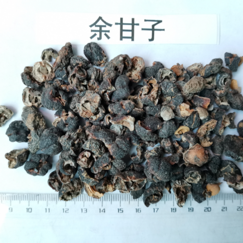 余甘子價(jià)格大約多少錢 干余甘子的功效和食用方法