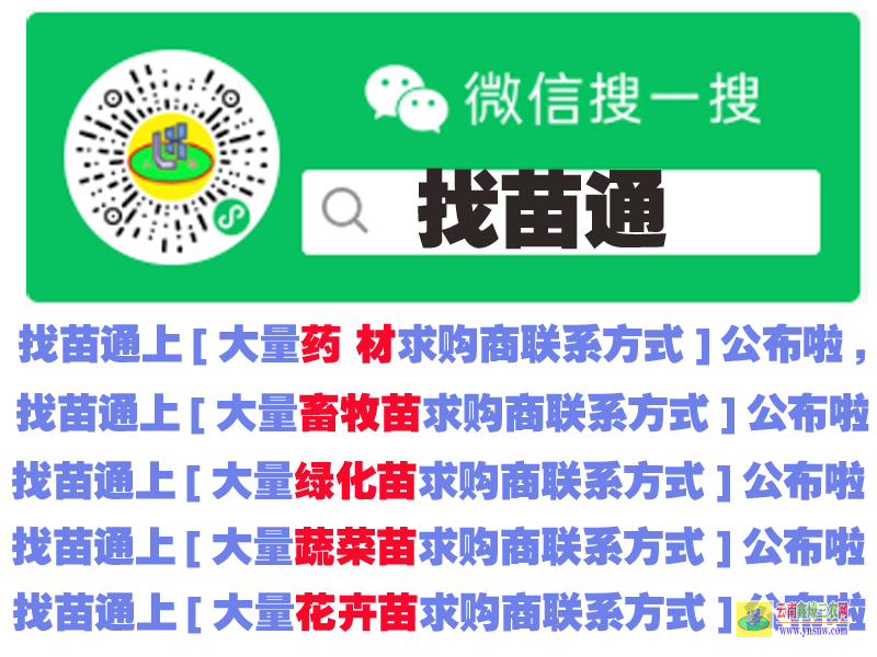 四川B2B花卉苗平臺 微信搜一搜“找苗通”小程序 樹苗供應(yīng)平臺