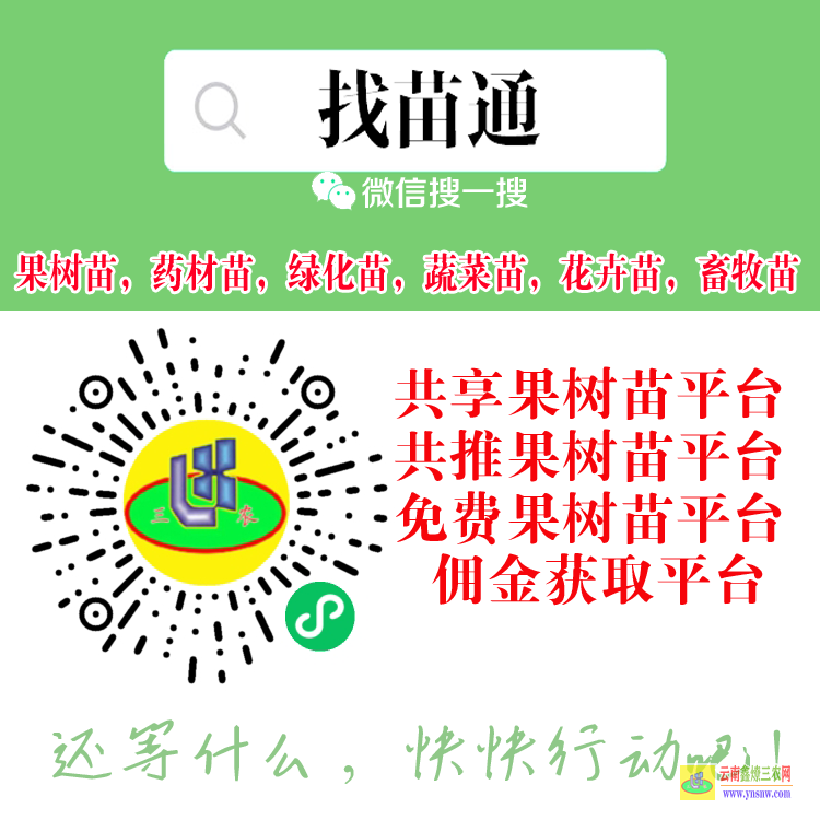 昆明農(nóng)產(chǎn)品收購(gòu)商發(fā)布平臺(tái) 微信搜搜“找苗通”小程序 綠化苗發(fā)布平臺(tái)