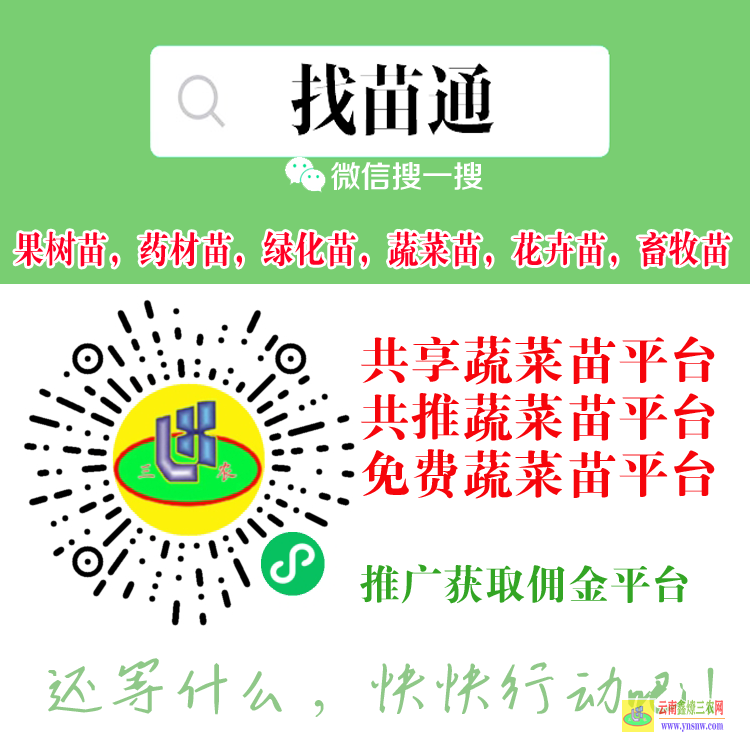 福建農(nóng)產(chǎn)品收購(gòu)商發(fā)布平臺(tái) 微信搜搜“找苗通”小程序 樹(shù)苗供應(yīng)平臺(tái)