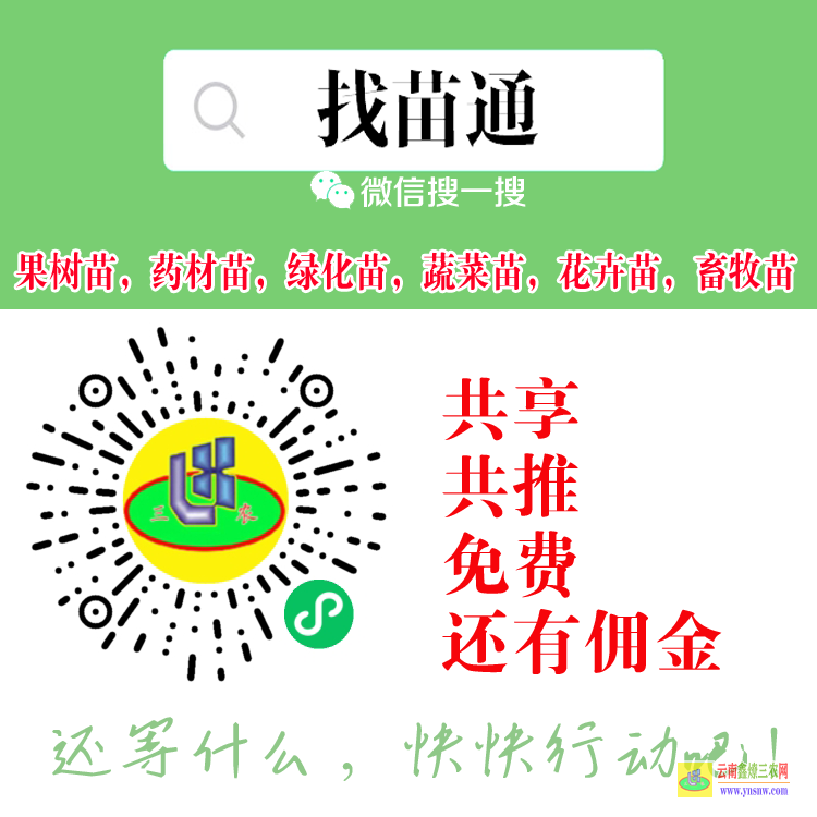 陜西西安長(zhǎng)安綠化苗的平臺(tái) 微信搜一搜[找苗通] 哪個(gè)平臺(tái)可以買(mǎi)蔬菜苗