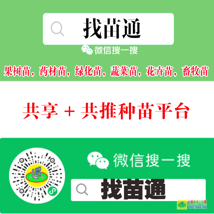 湖北武漢綠化苗木網(wǎng) 微信搜一搜[找苗通] 藥材苗信息平臺