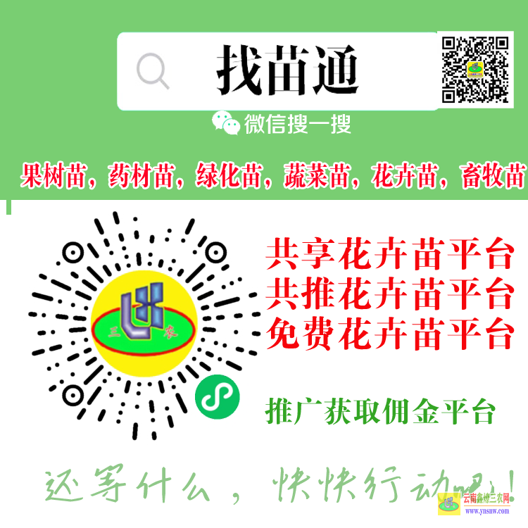 雙江蔬菜苗網(wǎng)上買賣平臺(tái) 微信搜一搜[找苗通] 果樹苗平臺(tái)