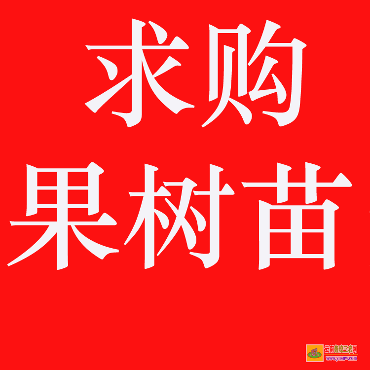 墨江全國(guó)免費(fèi)苗木求購(gòu)信息 網(wǎng)上苗木報(bào)價(jià) 大的苗木求購(gòu)網(wǎng)