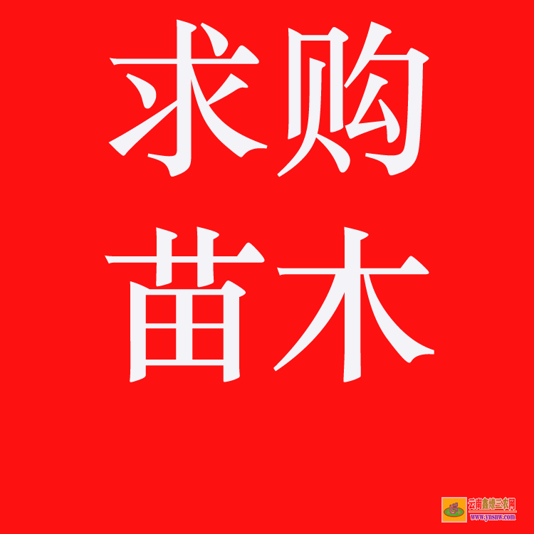 鎮(zhèn)沅2022苗木價格一覽表 網(wǎng)上苗木報價 苗木價格網(wǎng)