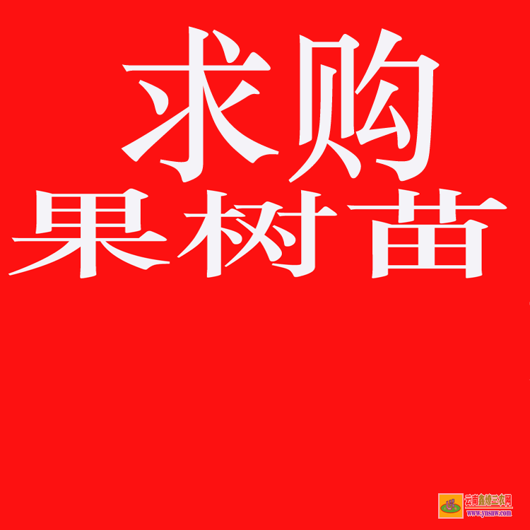 元陽苗木銷售如何找客戶 大型苗木市場在哪里 工程急需苗木求購信息