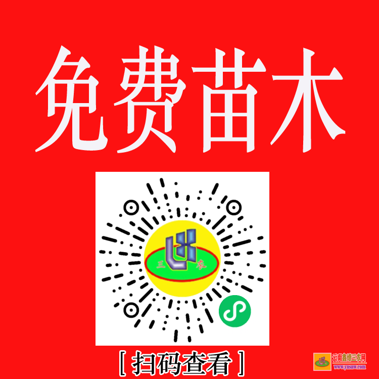 元謀國(guó)內(nèi)大的苗木求購(gòu)信息網(wǎng)站 上門收購(gòu)綠化樹木 綠化苗木價(jià)格表2020