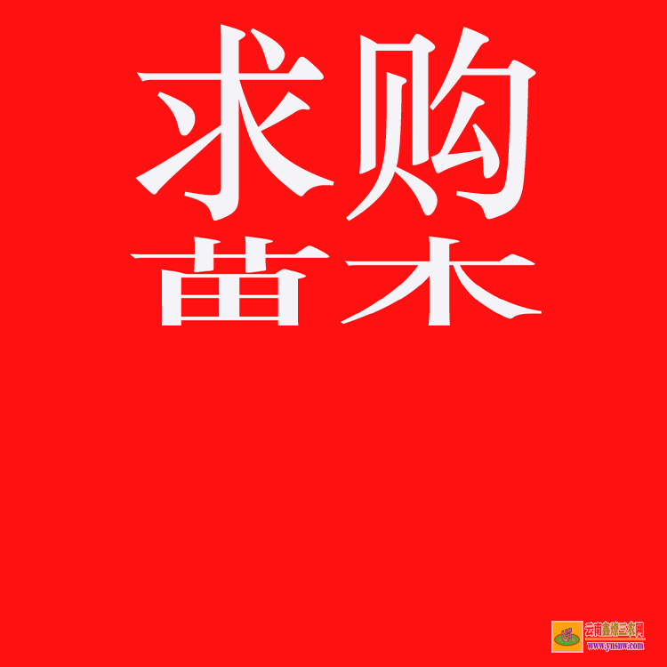 雙江國(guó)內(nèi)大的苗木求購(gòu)信息網(wǎng)站 大型苗木市場(chǎng)在哪里 綠化苗木價(jià)格表2020