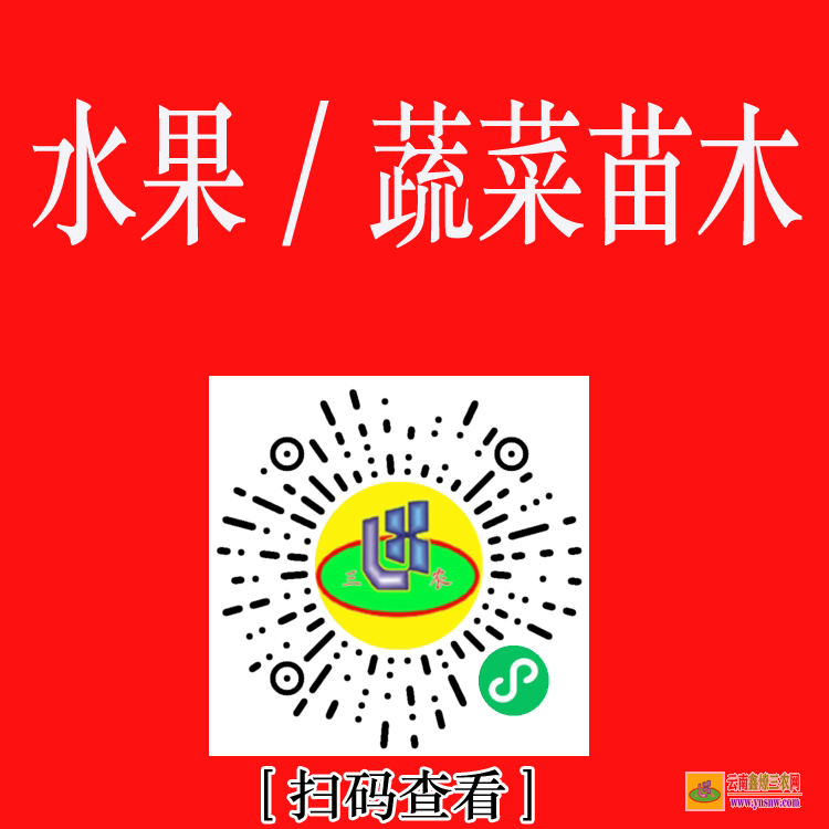 峨眉山藥材苗 藥材苗木評(píng)估 藥材苗圖片大全大圖