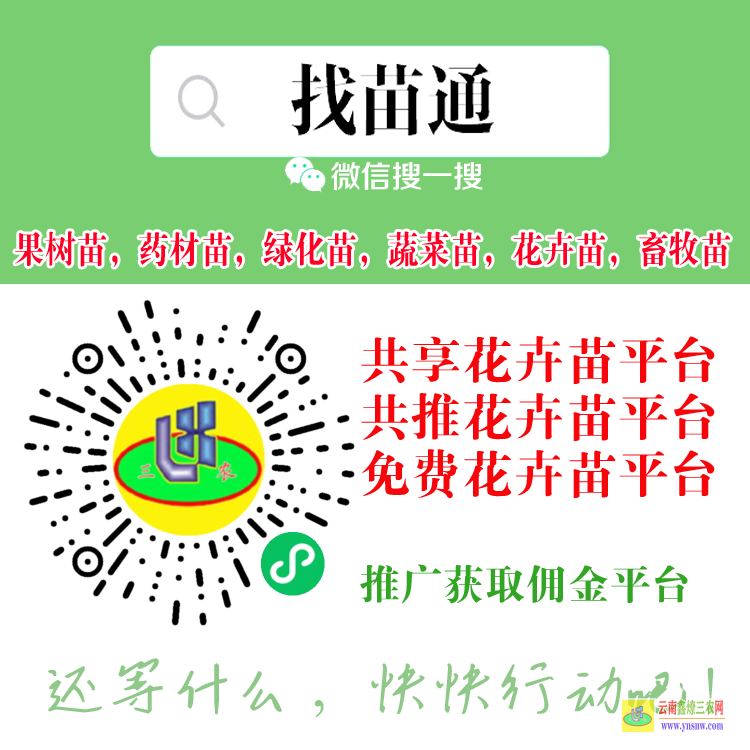 德宏云南仙人掌果苗哪個(gè)好| 云南省樹(shù)苗批發(fā) 云南栽什么樹(shù)苗