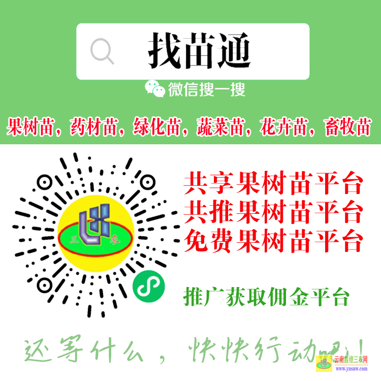 昆明果樹苗批發(fā)大市場在哪里| 果樹苗批發(fā)價格查詢 果樹苗購銷合同