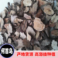 求購何首烏1000kg，要求切丁，八個篩，符合藥典檢測